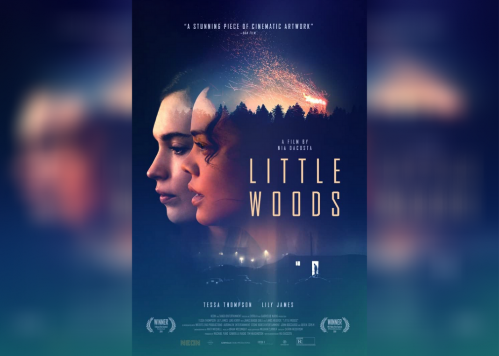 #62. Little Woods (2019)